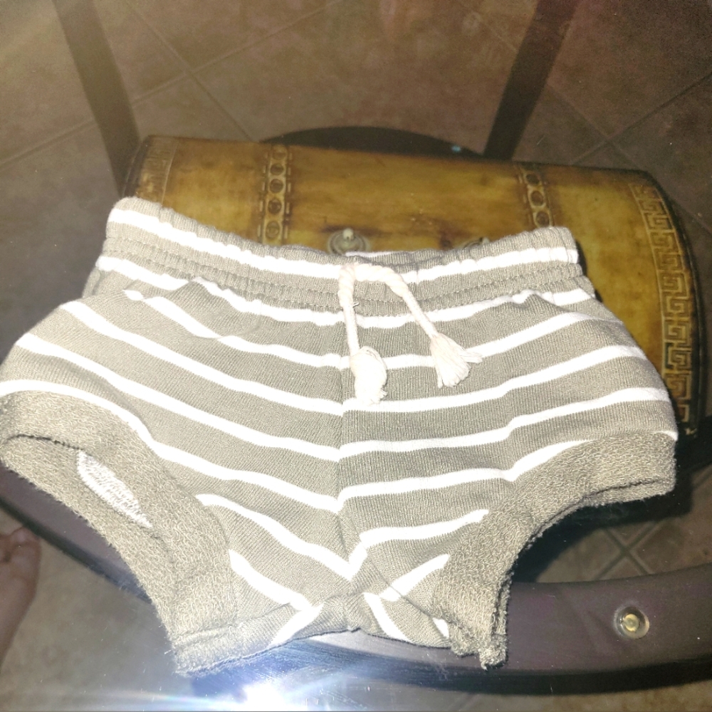Green Striped Shorts